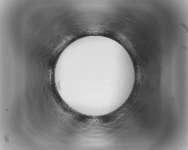 X0000102250115200808151826