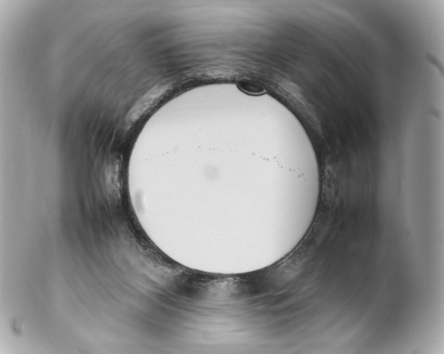 X0000102250116200808151826