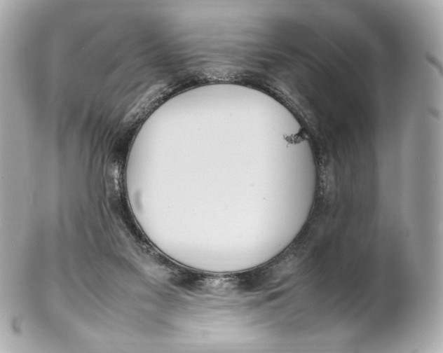 X0000102250117200808151826
