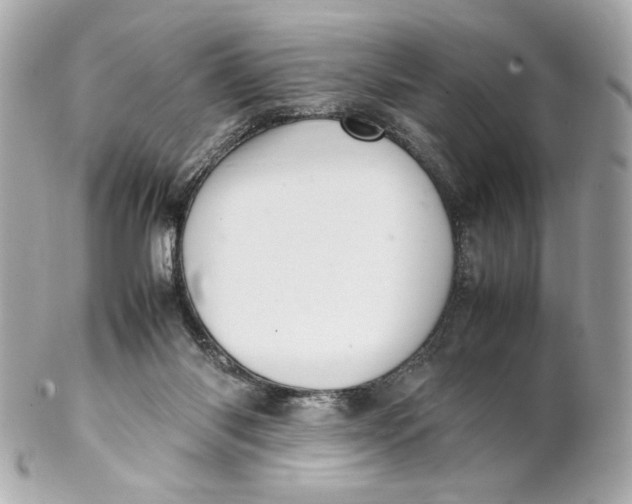 X0000102250118200808151826