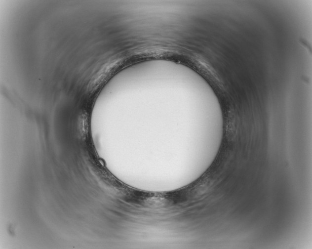 X0000102250119200808151826