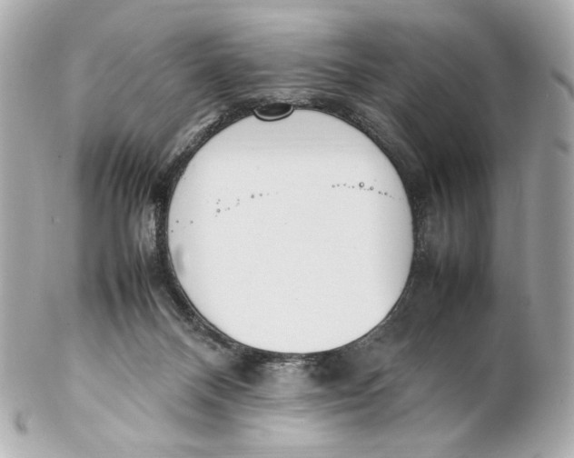 X0000102250120200808151826