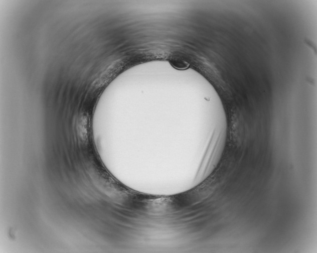X0000102250122200808151826
