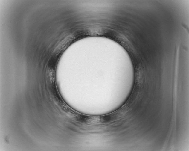 X0000102250123200808151826