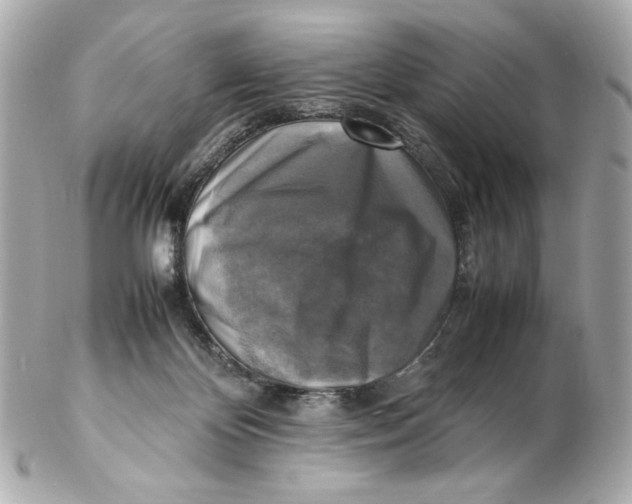 X0000102250124200808151826