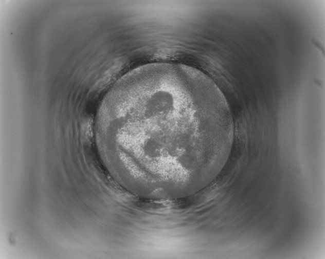 X0000102250127200808151826