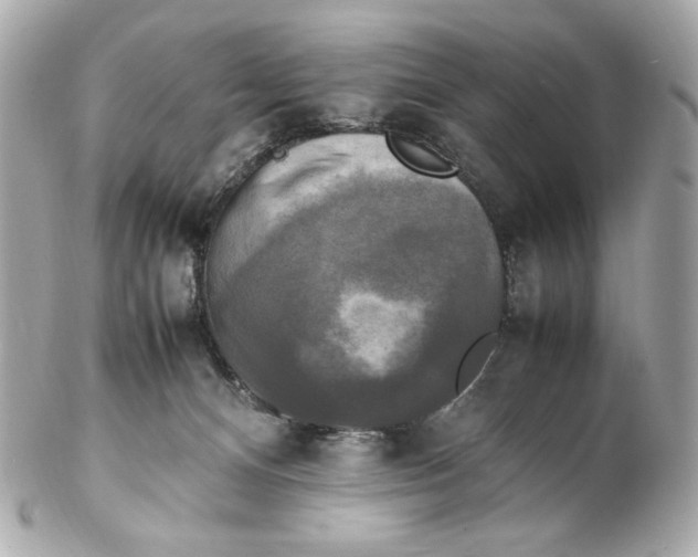 X0000102250128200808151826