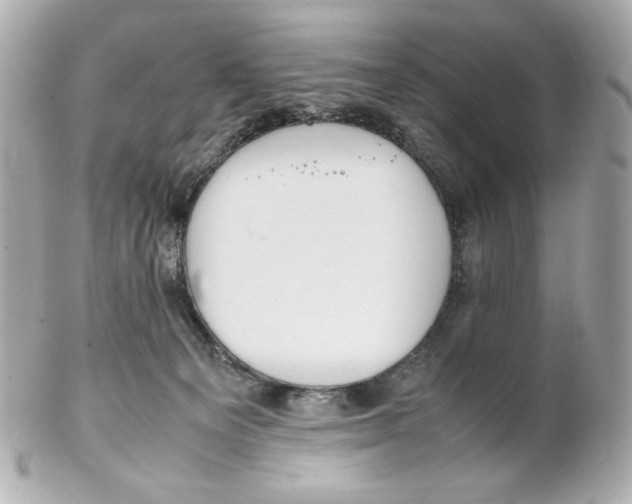 X0000102250129200808151826