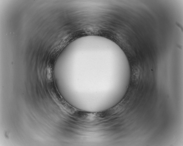 X0000102250130200808151826