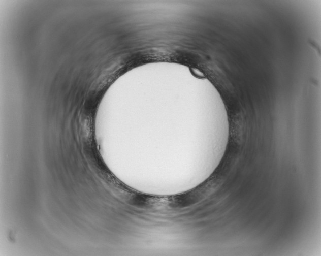X0000102250131200808151826