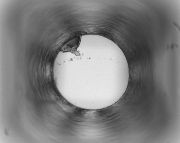 X0000102250132200808151826