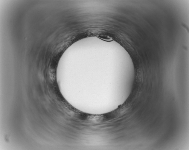 X0000102250135200808151826