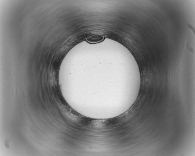 X0000102250136200808151826