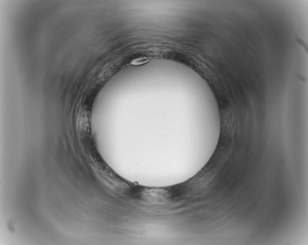 X0000102250137200808151826