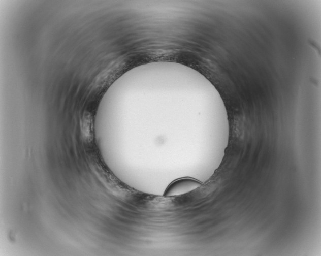 X0000102250138200808151825