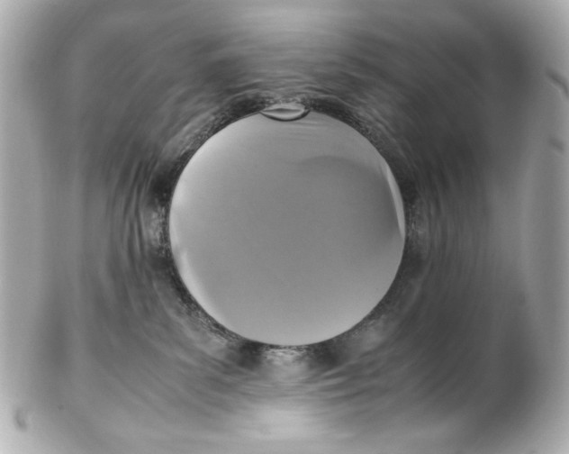 X0000102250139200808151825
