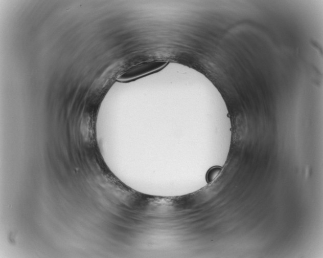 X0000102250140200808151825