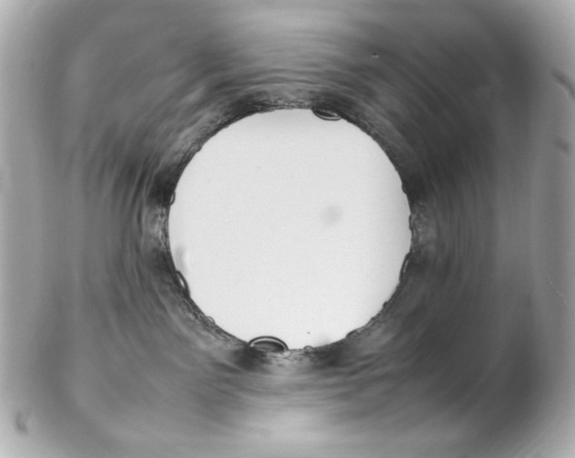 X0000102250141200808151825
