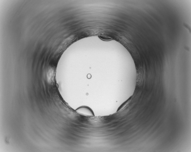 X0000102250142200808151825