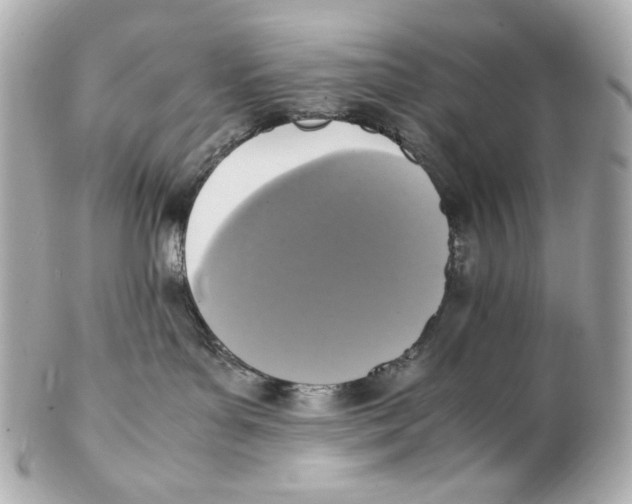 X0000102250143200808151825