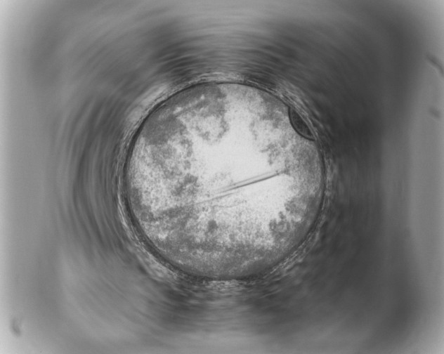 X0000102250145200808151825