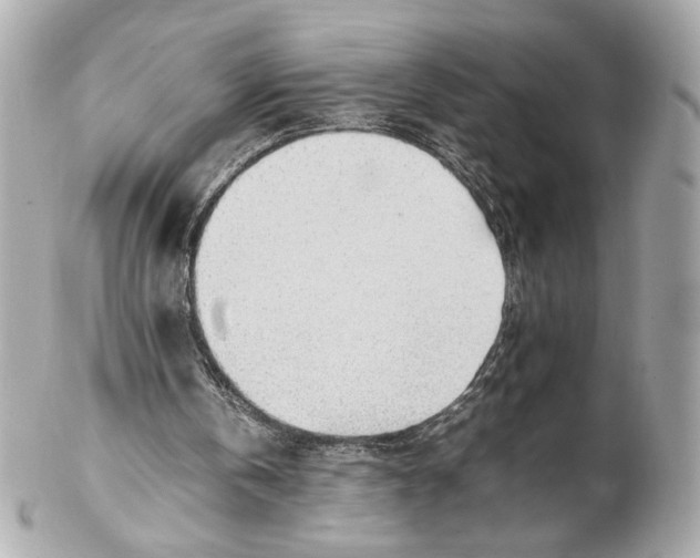 X0000102250146200808151825