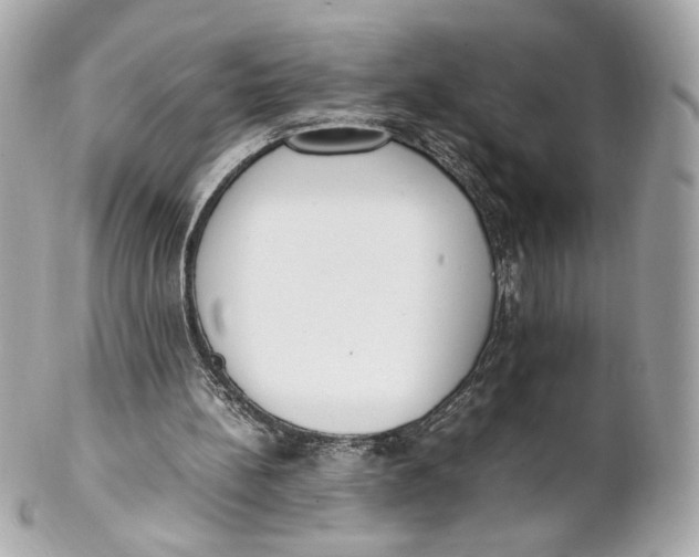 X0000102250148200808151825