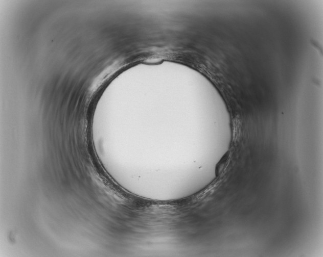 X0000102250150200808151825