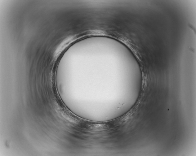 X0000102250151200808151825