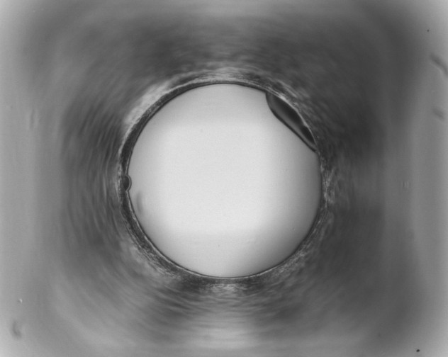 X0000102250152200808151825