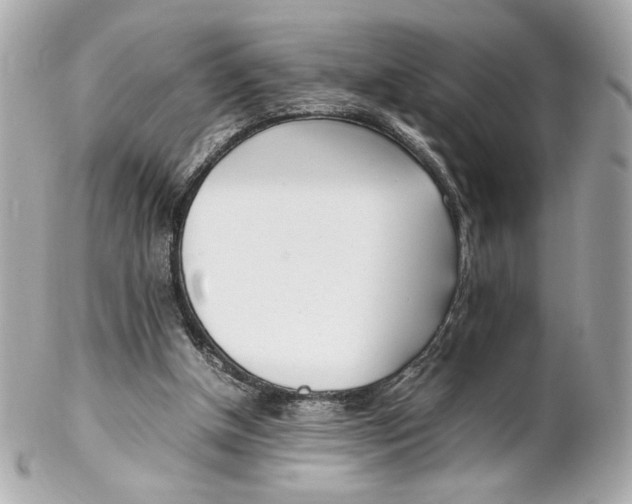 X0000102250154200808151825