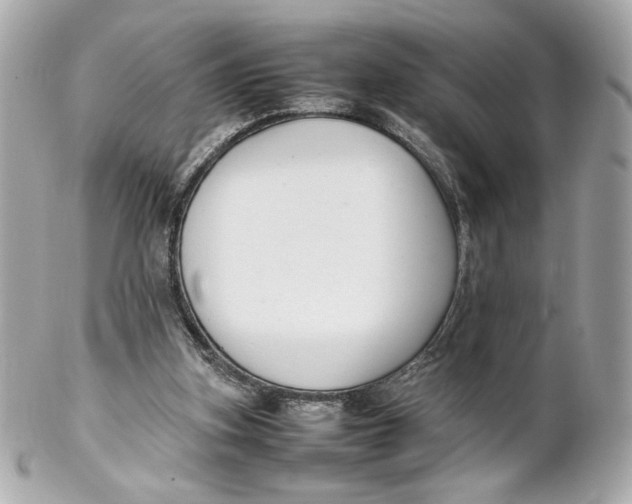 X0000102250155200808151825