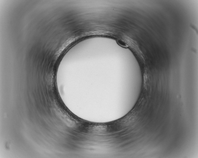 X0000102250156200808151825