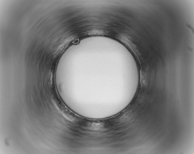 X0000102250157200808151825