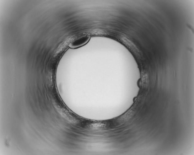 X0000102250158200808151825