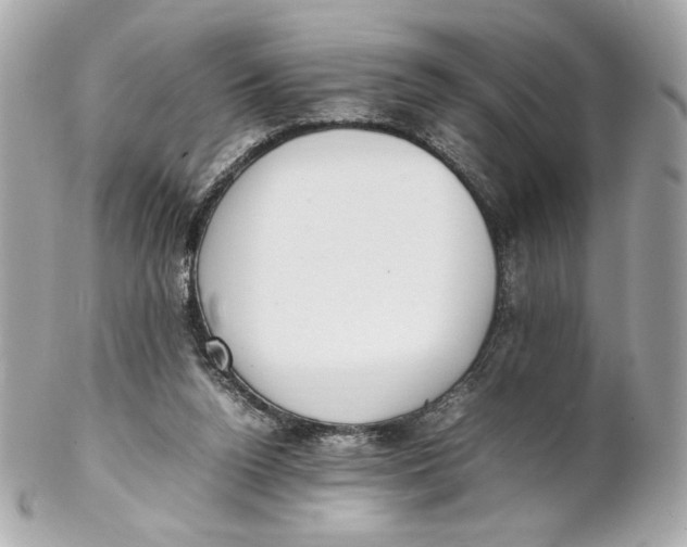 X0000102250160200808151825