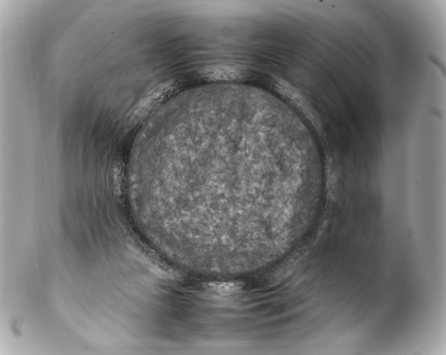 X0000102250161200808151825
