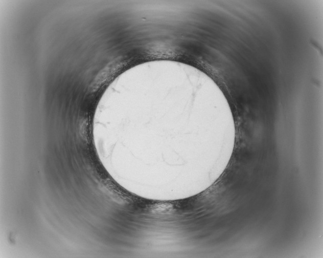 X0000102250162200808151825