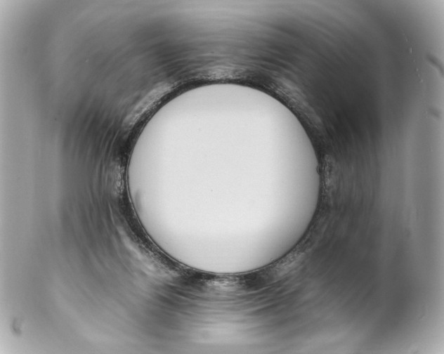 X0000102250164200808151825