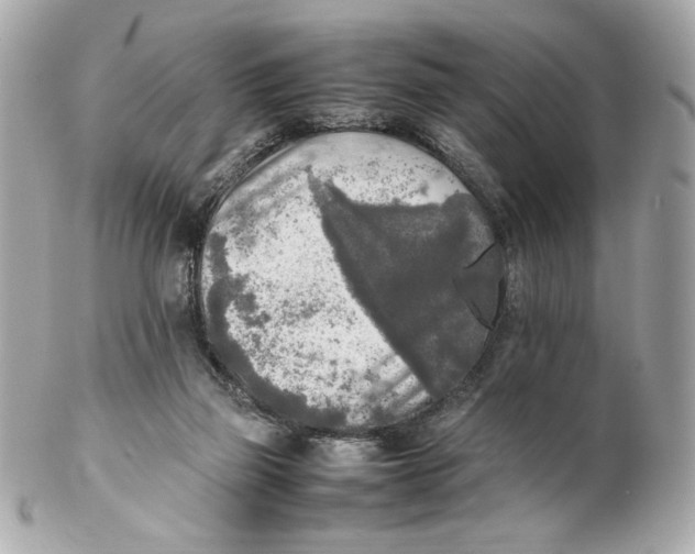 X0000102250165200808151825