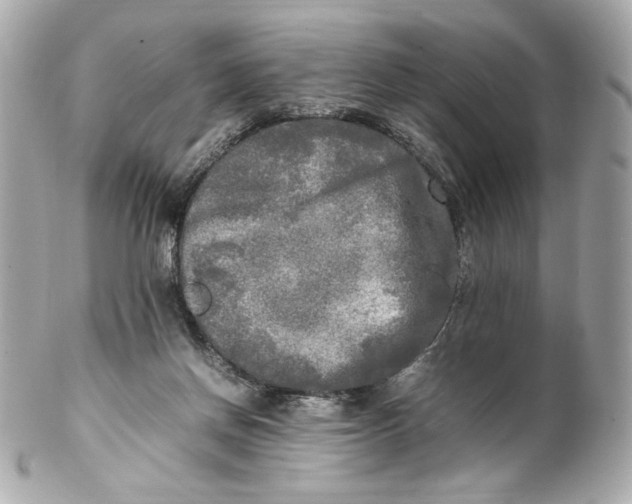 X0000102250166200808151825