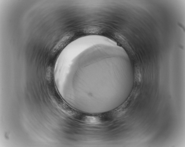 X0000102250167200808151825