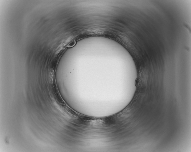 X0000102250168200808151825