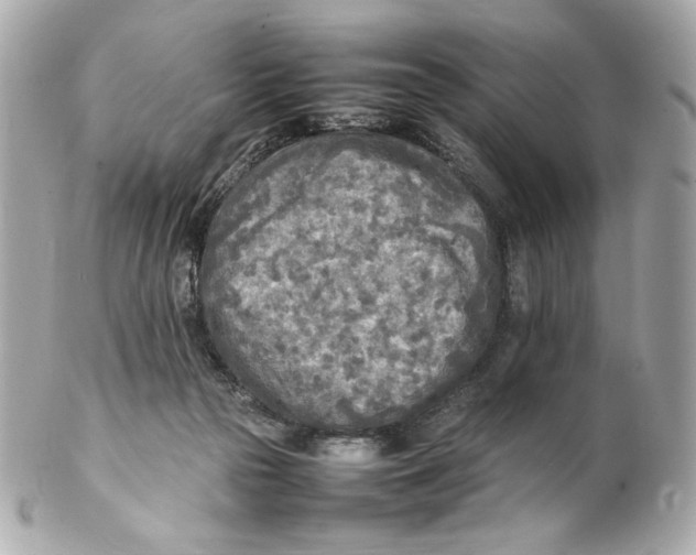 X0000102250169200808151825