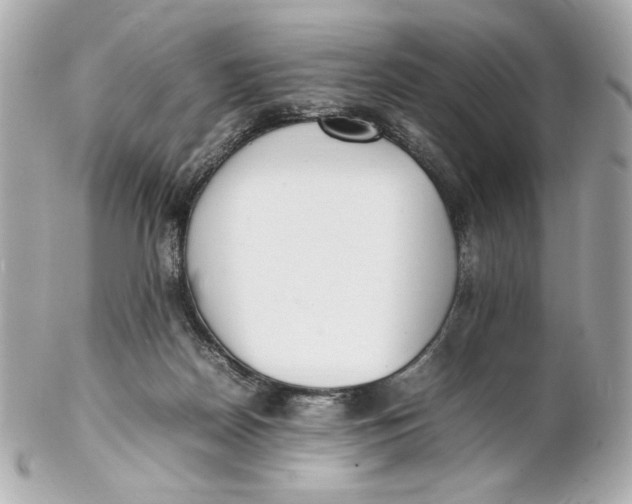 X0000102250170200808151825