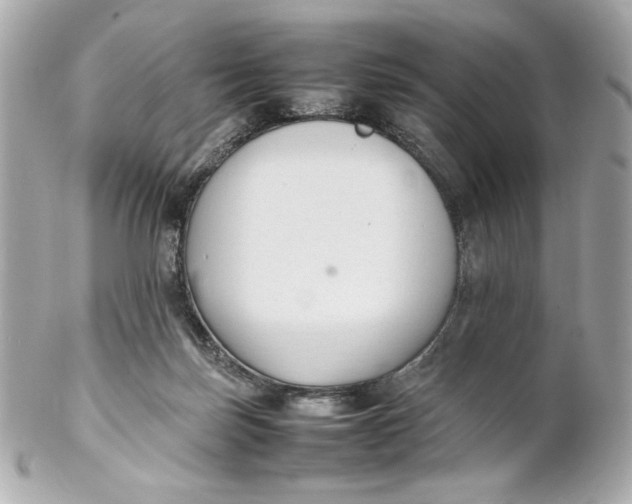 X0000102250171200808151825