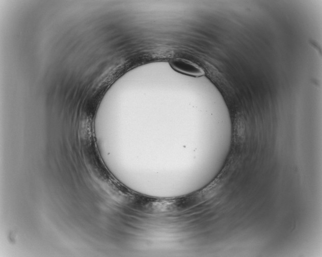 X0000102250172200808151825