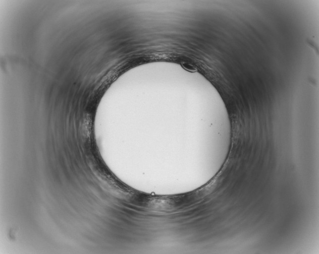 X0000102250174200808151825