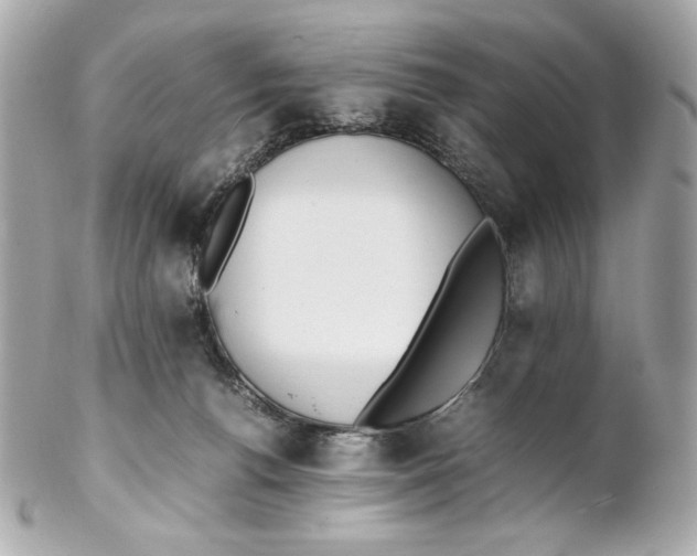 X0000102250176200808151825