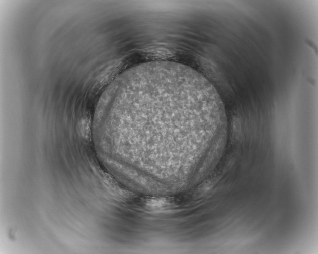 X0000102250177200808151825